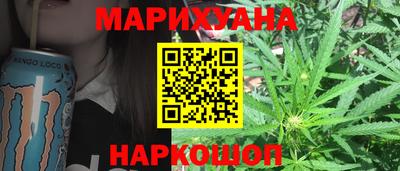 индика Камышлов