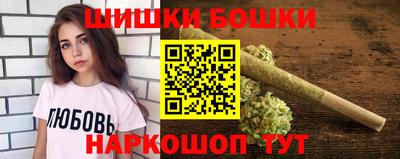 индика Камышлов