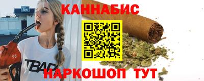 индика Камышлов