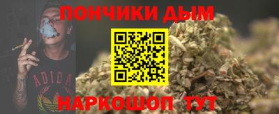 индика Камышлов