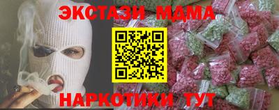 индика Камышлов
