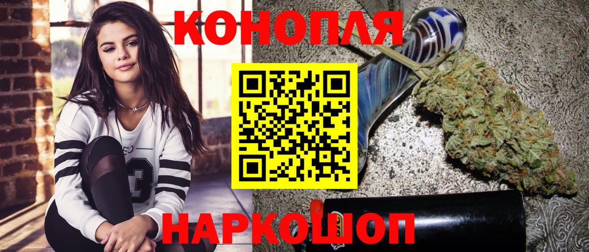 Канабис сатива Ленинск-Кузнецкий